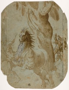 Conversion de Saint Paul (recto); Homme vu de dos (verso) - Giovanni Antonio da Pordenone