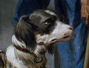 Chien Argo, détail d