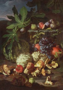 Nature morte