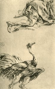 Une autruche en course, 1752-1753, 1928 - Giovanni Battista Tiepolo