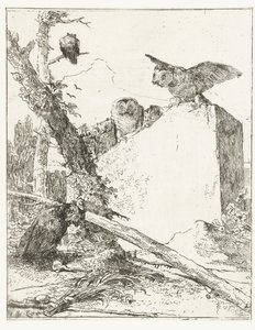 Page de titre pour Scherzi di fantasia avec des hiboux près d