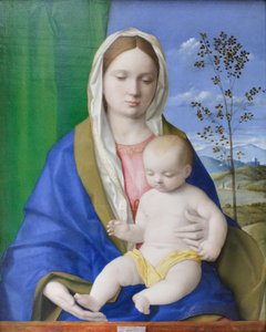 Madone et Enfant, c.1500 - Giovanni Bellini