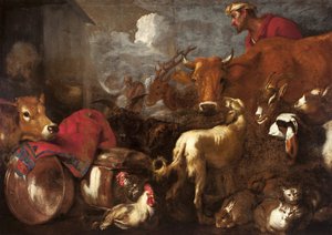 Les animaux embarquent dans l