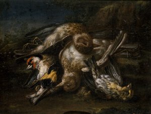 Oiseaux morts