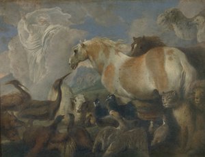 La Création, milieu du 17e siècle - Giovanni Benedetto Castiglione