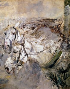 Deux chevaux blancs - Giovanni Boldini