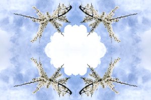 Unnatural 115