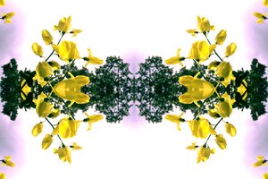 Unnatural 151.2 - Giovanni Cafagna