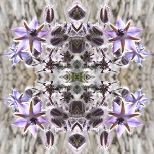 Unnatural 159 - Giovanni Cafagna