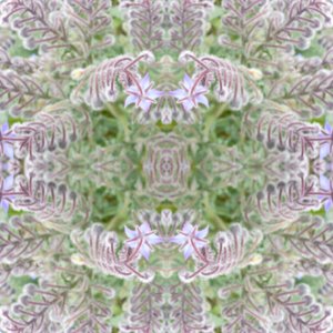 Unnatural 161 - Giovanni Cafagna