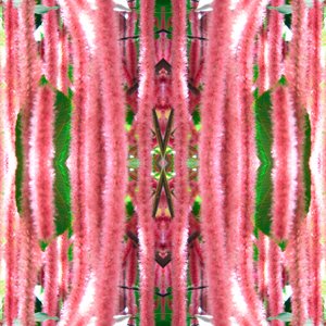 Unnatural 172 - Giovanni Cafagna