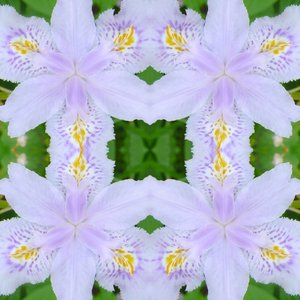 Unnatural 174 - Giovanni Cafagna