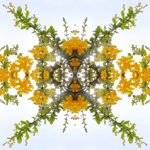 Unnatural 175