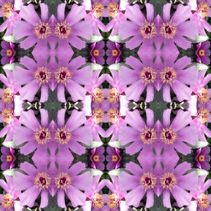 Unnatural 176.1 - Giovanni Cafagna