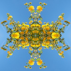 Unnatural 193