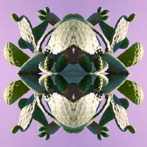 Unnatural 196