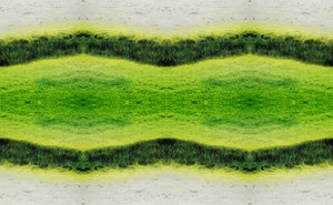 Non naturel 2.1 - Giovanni Cafagna