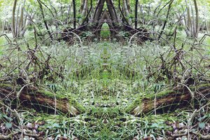 Non naturel 33 - Giovanni Cafagna
