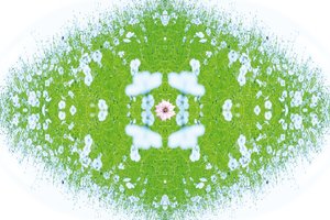 Non naturel 37 - Giovanni Cafagna