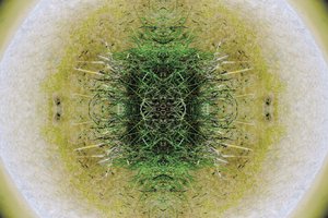 Non naturel 6.1 - Giovanni Cafagna