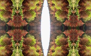 Unnatural 81 - Giovanni Cafagna