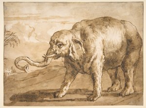 Éléphant dans un paysage - Giovanni Domenico Tiepolo