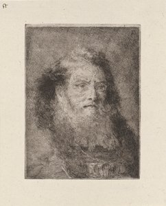 Vieil homme à tête nue, de la Raccolta di Teste (Collection de têtes)