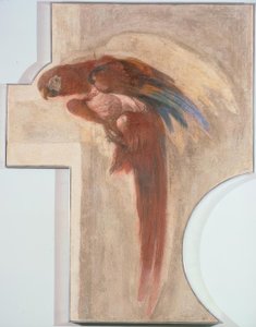 Perroquet - Giovanni Domenico Tiepolo