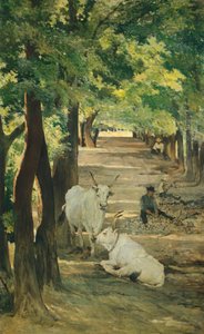 Avenue avec bœufs et casseur de pierres