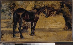 Cheval noir
