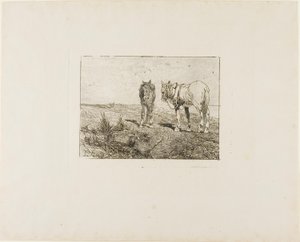 Repos des chevaux - Giovanni Fattori