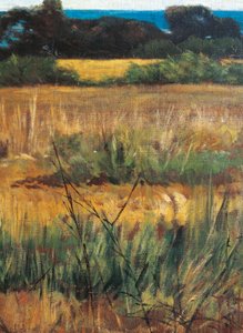 Maremma Toscana, vers 1894 (détail)