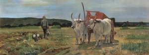Chariot à bœufs dans la Maremme toscane