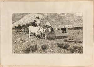 Bœufs et chariot (Maremma)