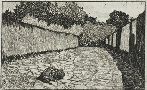 Petite rue à la périphérie de Florence avec chiot