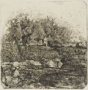 Arbres dans un pré - Giovanni Fattori