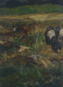 Maremme toscane (détail)