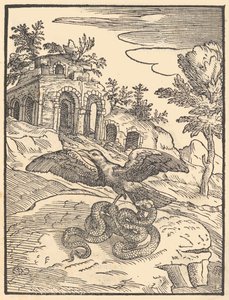 Oiseau et serpent - Giovanni Maria Verdizotti