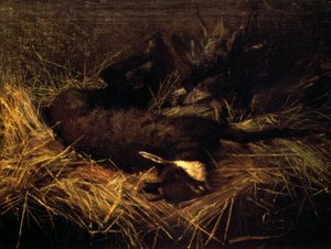 Chamois mort