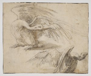 Deux cygnes, recto