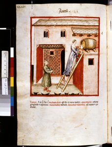 Theatrum sanitatis par Ububchasym de Baldach: 