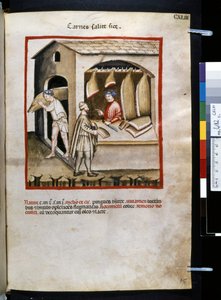 Theatrum sanitatis par Ububchasym de Baldach : 
