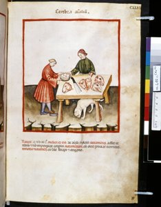 Theatrum sanitatis par Ububchasym de Baldach : 