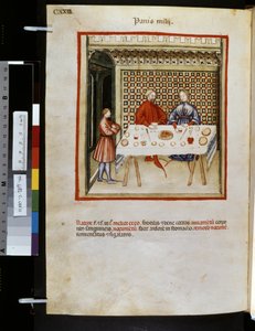 Theatrum sanitatis par Ububchasym de Baldach : 