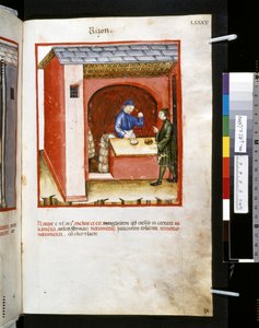 Theatrum sanitatis par Ububchasym de Baldach : 