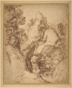 Paysage rocheux avec chute d