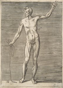 Homme vu de face, tenant une corde dans sa main droite, XVIe siècle - Giulio Bonasone