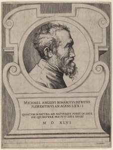 Michel-Ange - Giulio Bonasone