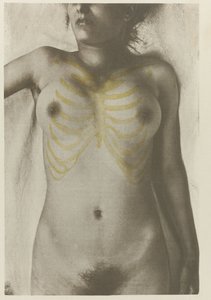 Anatomische foto van een vrouwelijk lijk: 