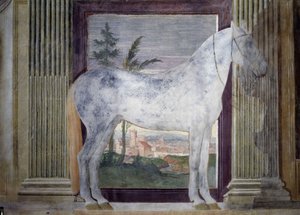 Portrait du cheval Glorioso Fresco